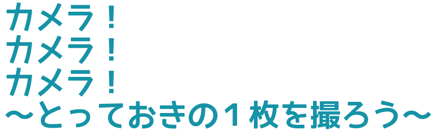 カメラ！カメラ!カメラ！～とっておきの１枚を撮ろう～