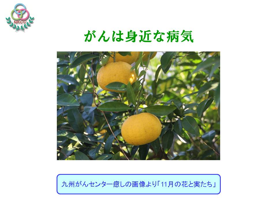 3ページ目