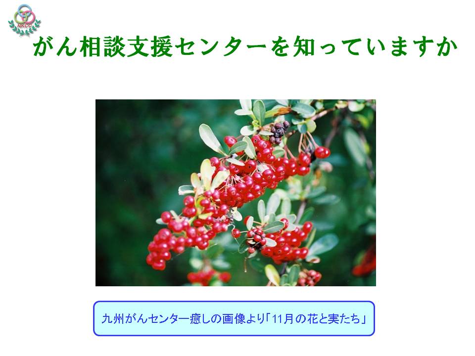 22ページ目