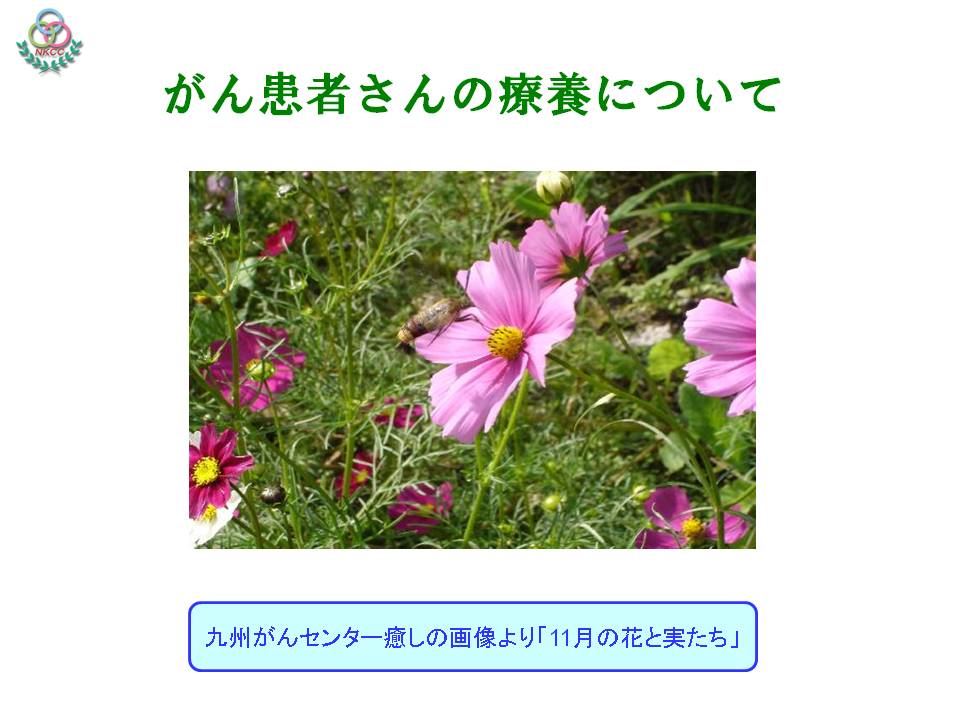 28ページ目