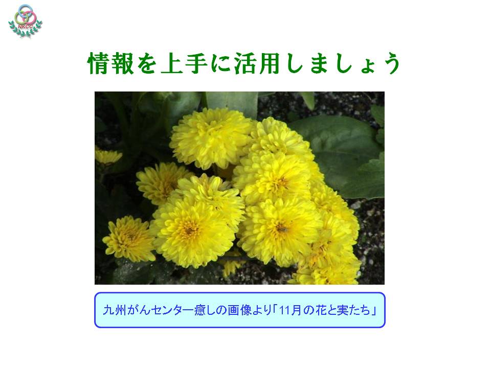 36ページ目
