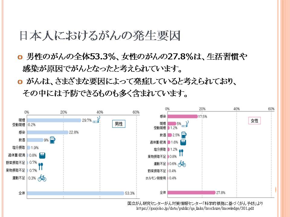 7ページ目